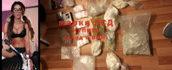гидра Богородск