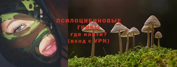 гидра Богородск