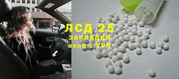 гидра Богородск