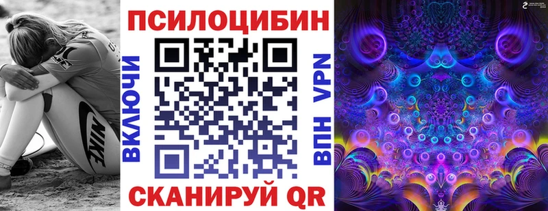 купить закладку  Болгар  Псилоцибиновые грибы Psilocybe 